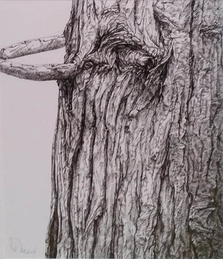 Trunk Drawing
