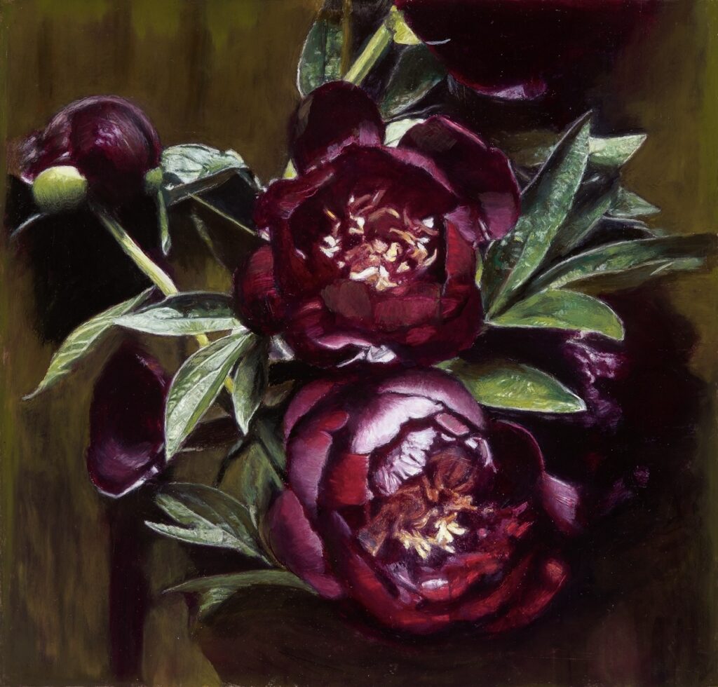 Peonies