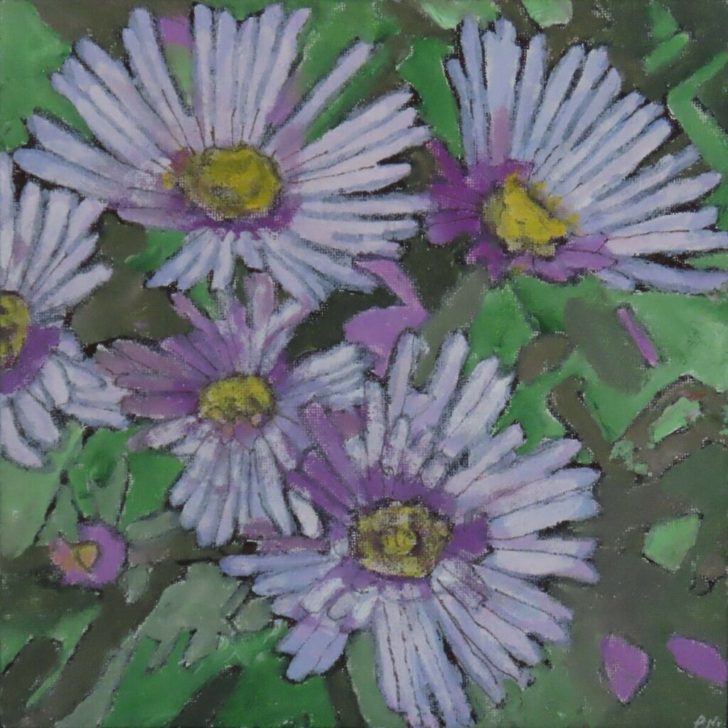 New England Asters