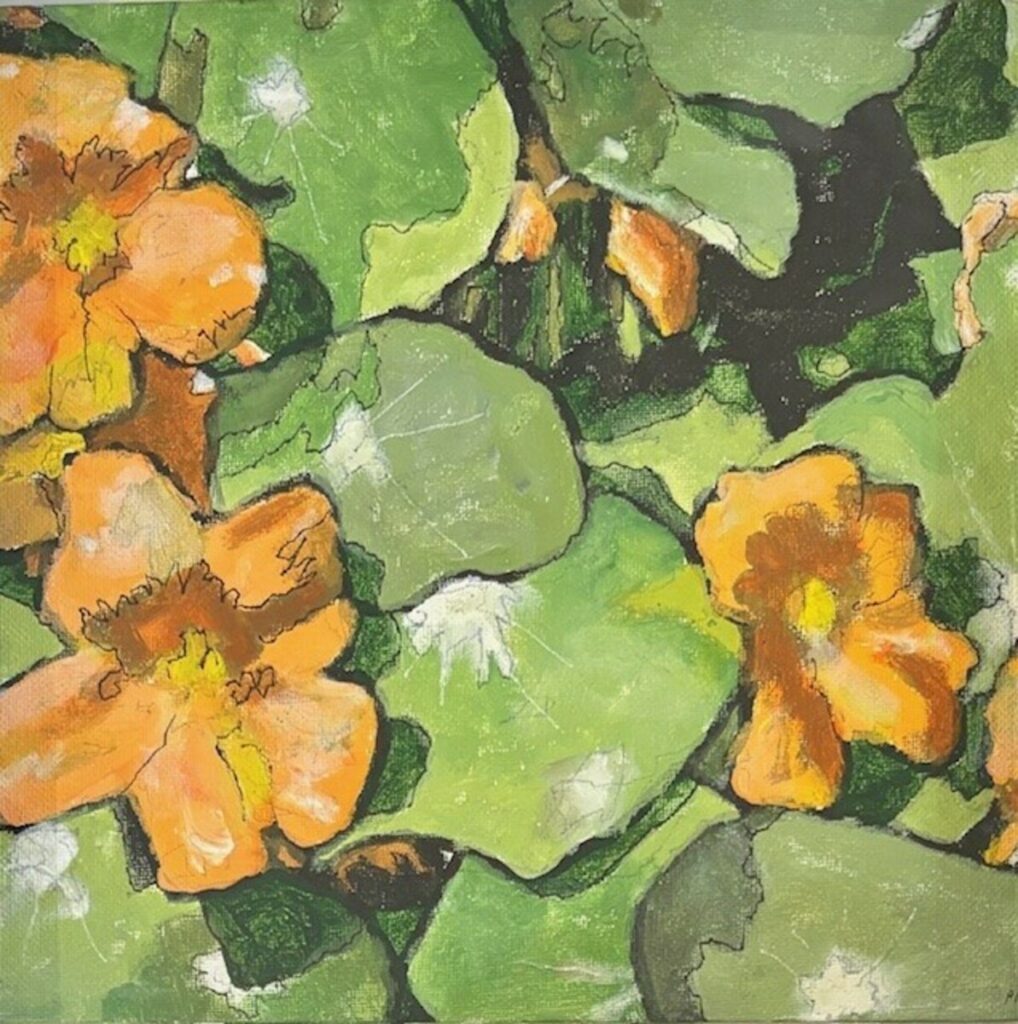 Nasturtiums