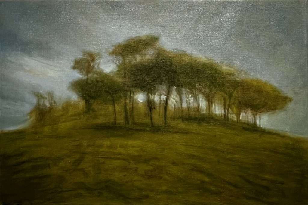Trees in the Morning