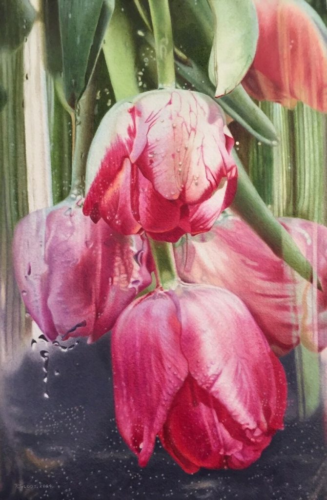 Tulips