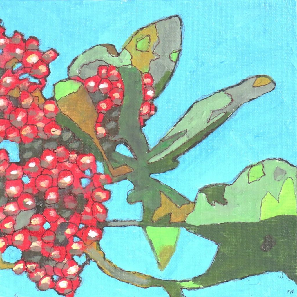 Cluster of Scarlet