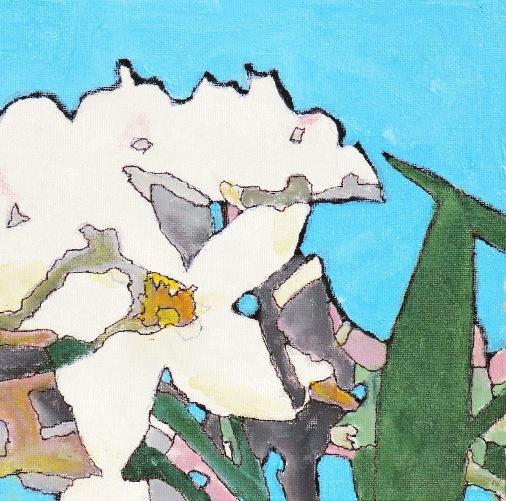 Petals of Light