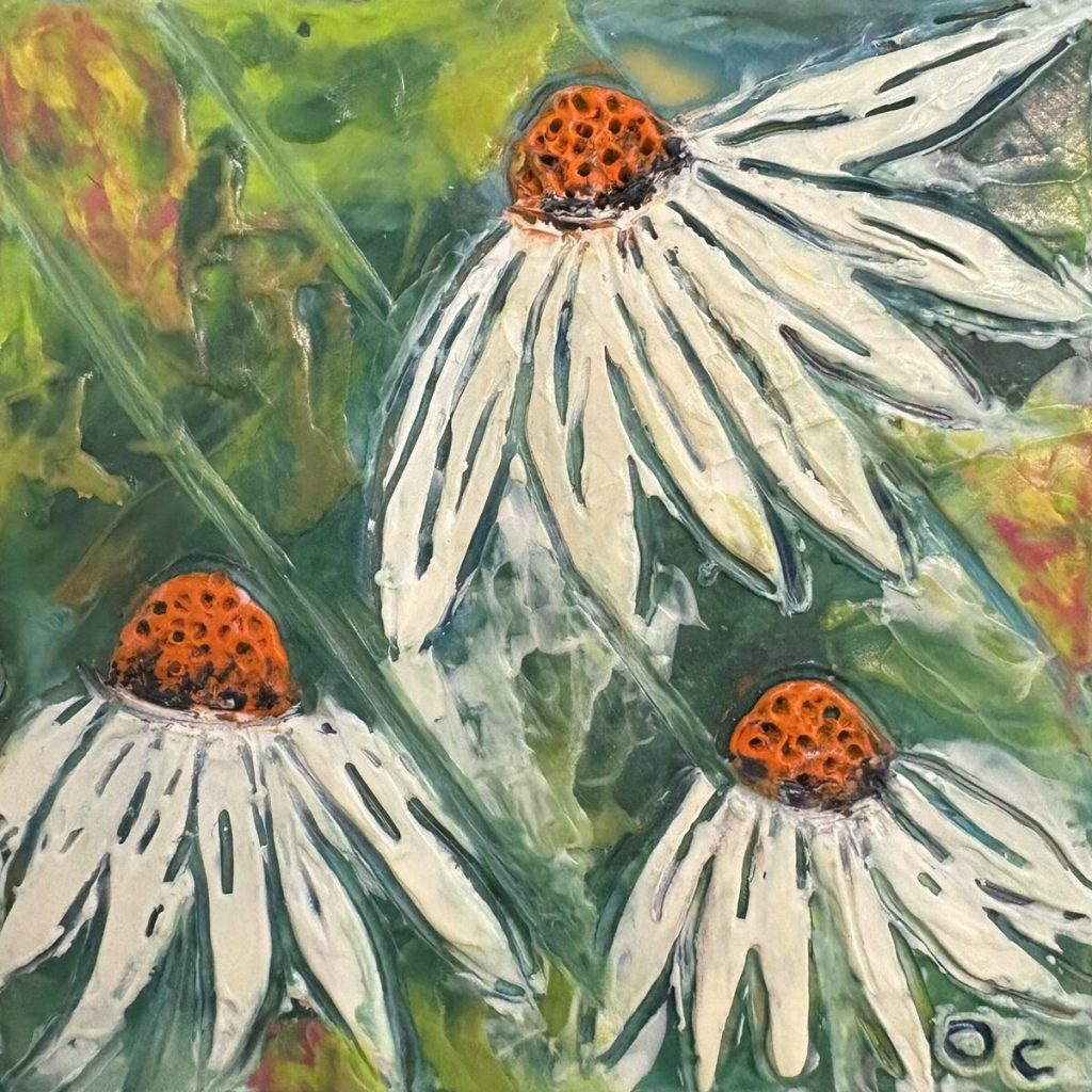 White Coneflowers