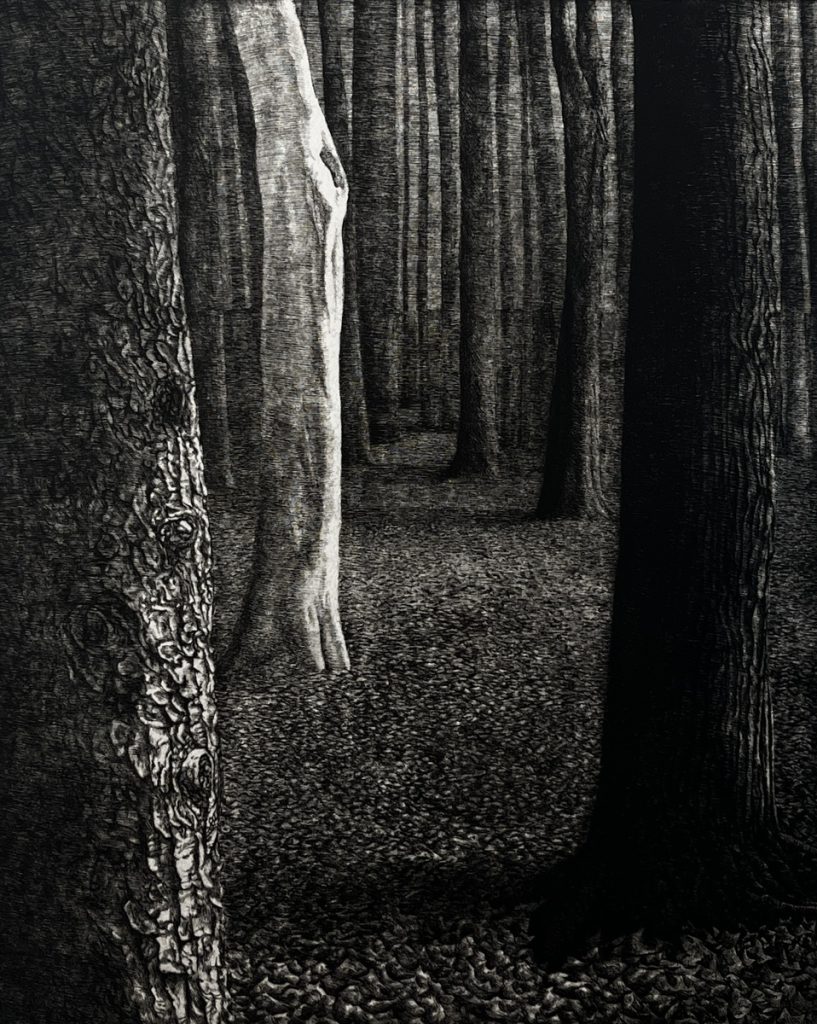 Woodlot XII