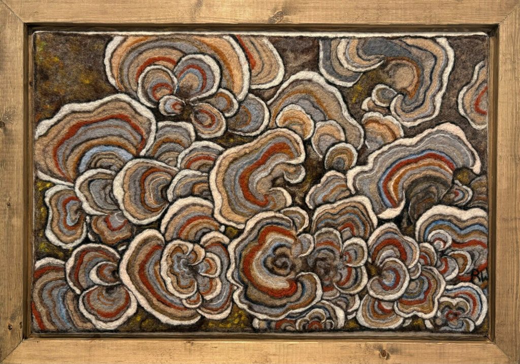 Turkeytails