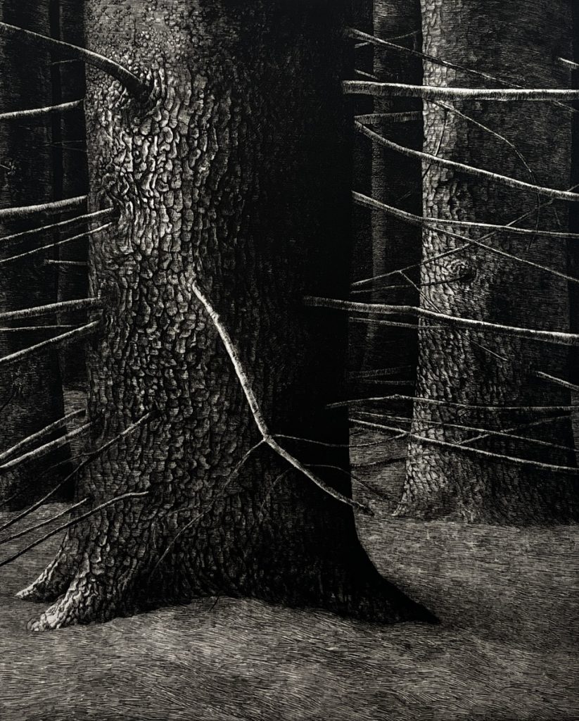 Woodlot XIII - The Sentinel