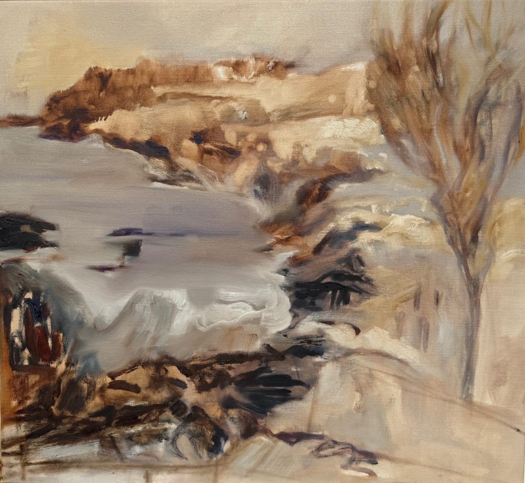 Snowy Shore