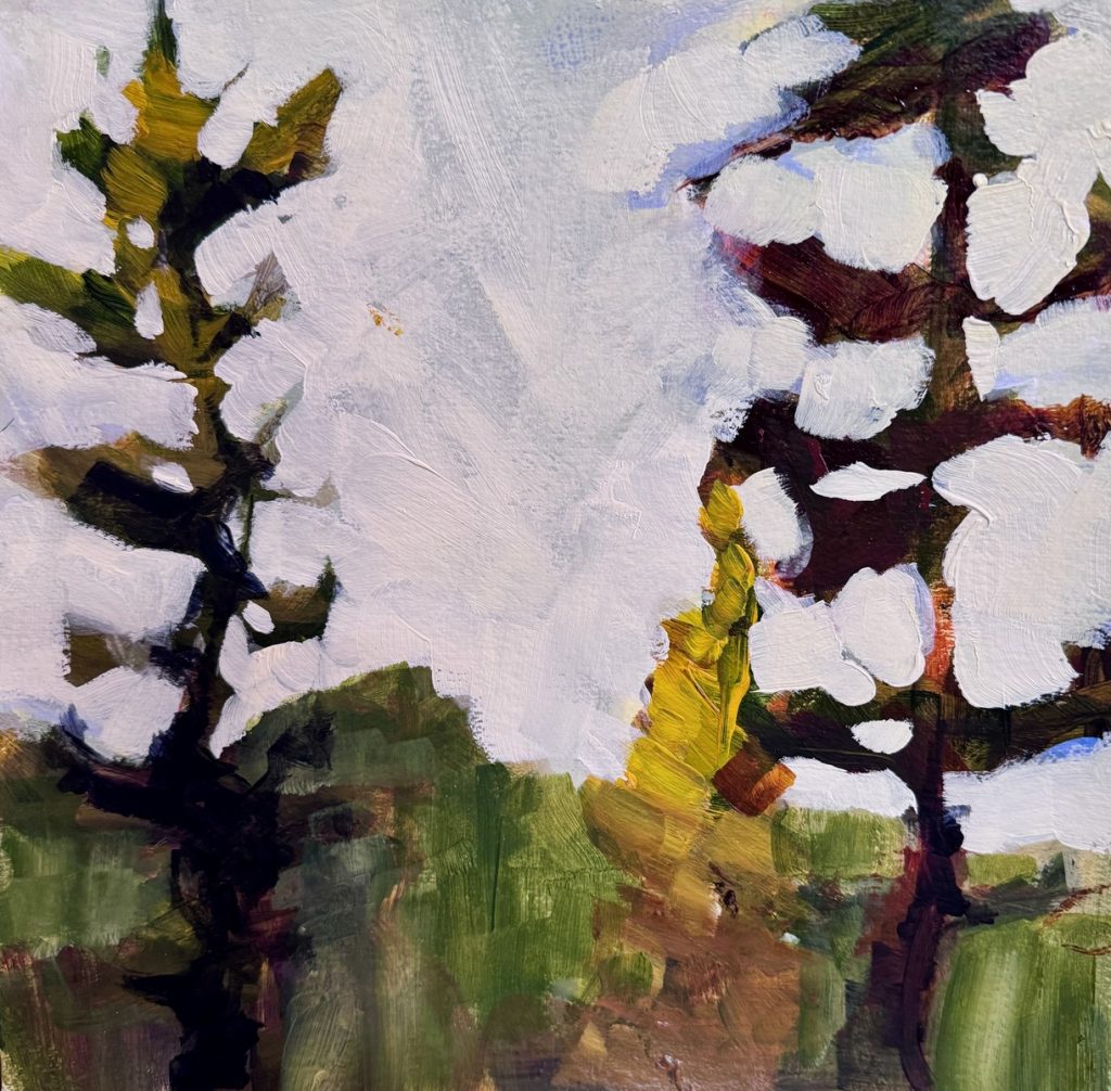 2 Pines and a Tamarack