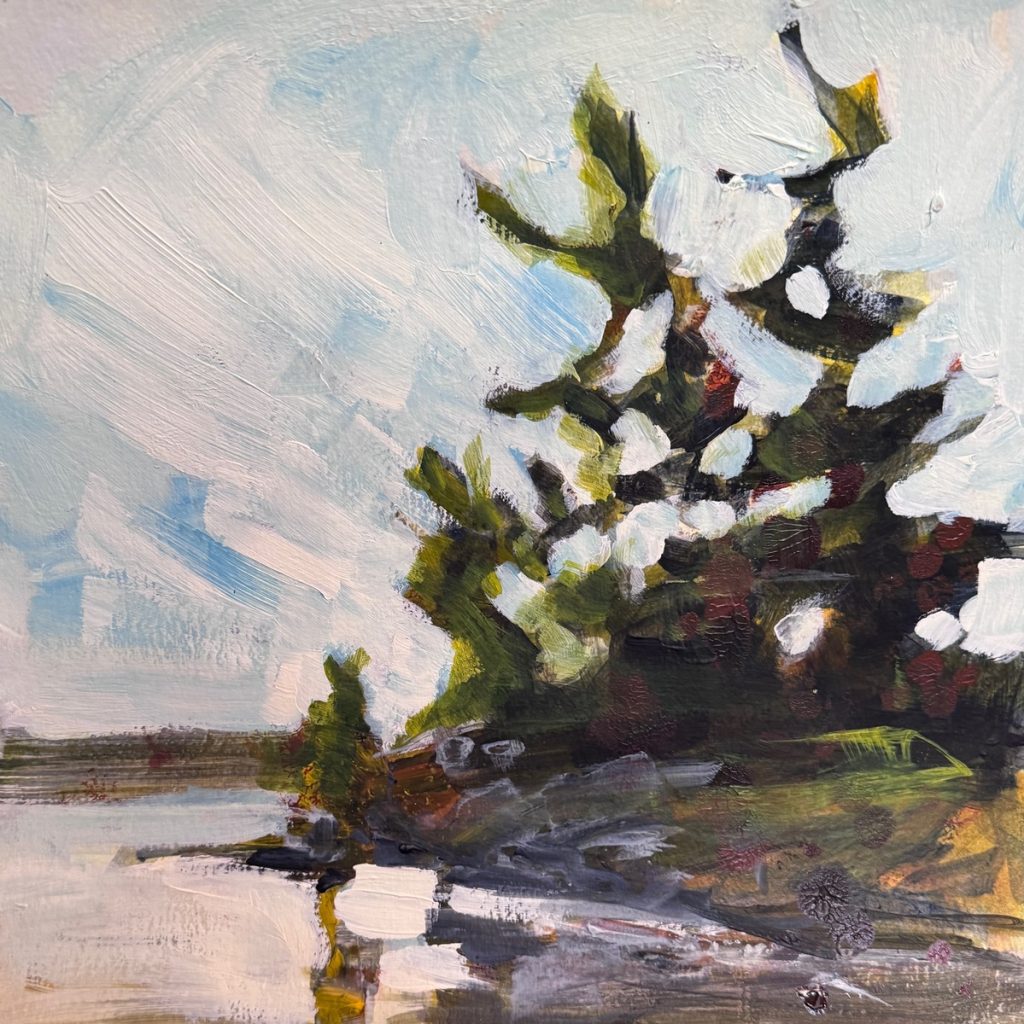 Along the French River