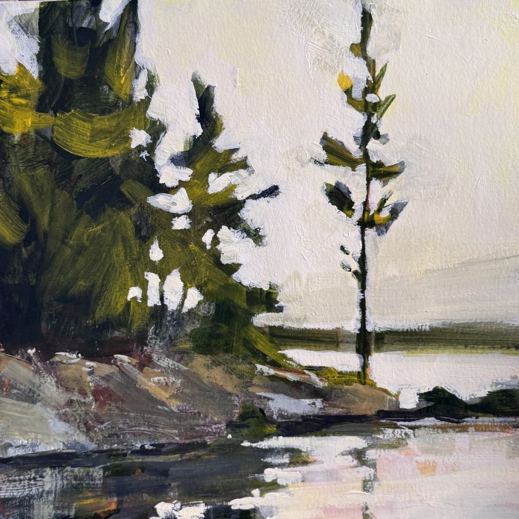 View from the Tent - French River