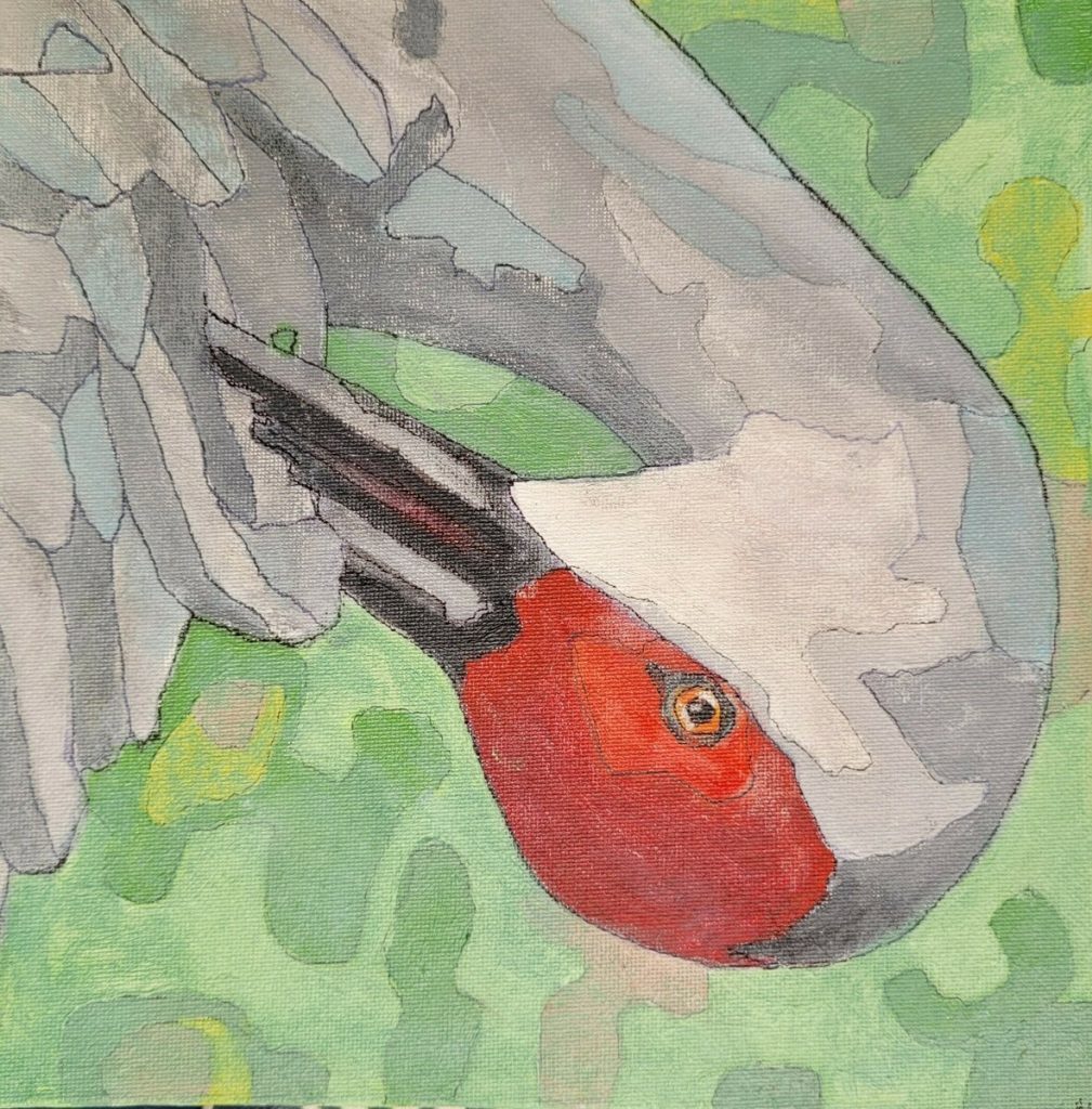 Preening in Silver Light