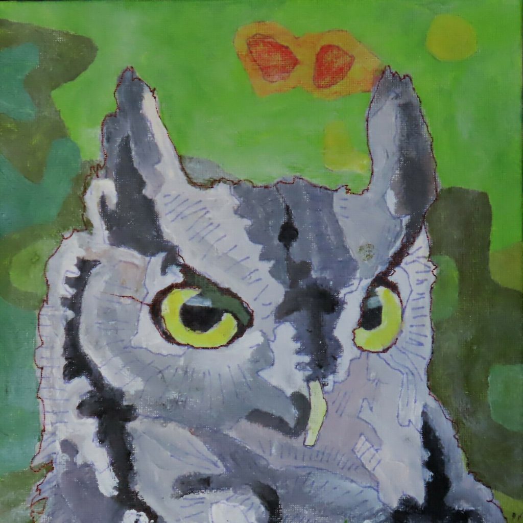 Mottled Whisper-Owl