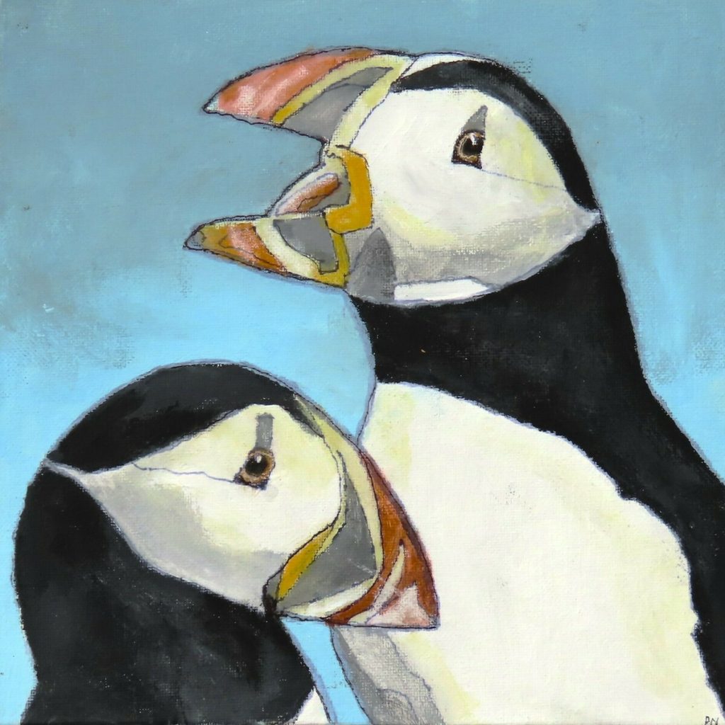 Puffin Fog (Newfoundland)