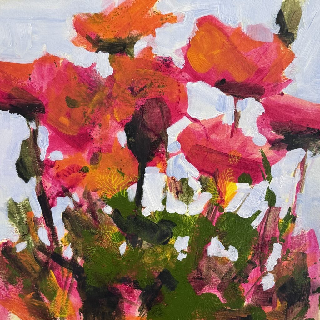 Our Neighbour's Poppies