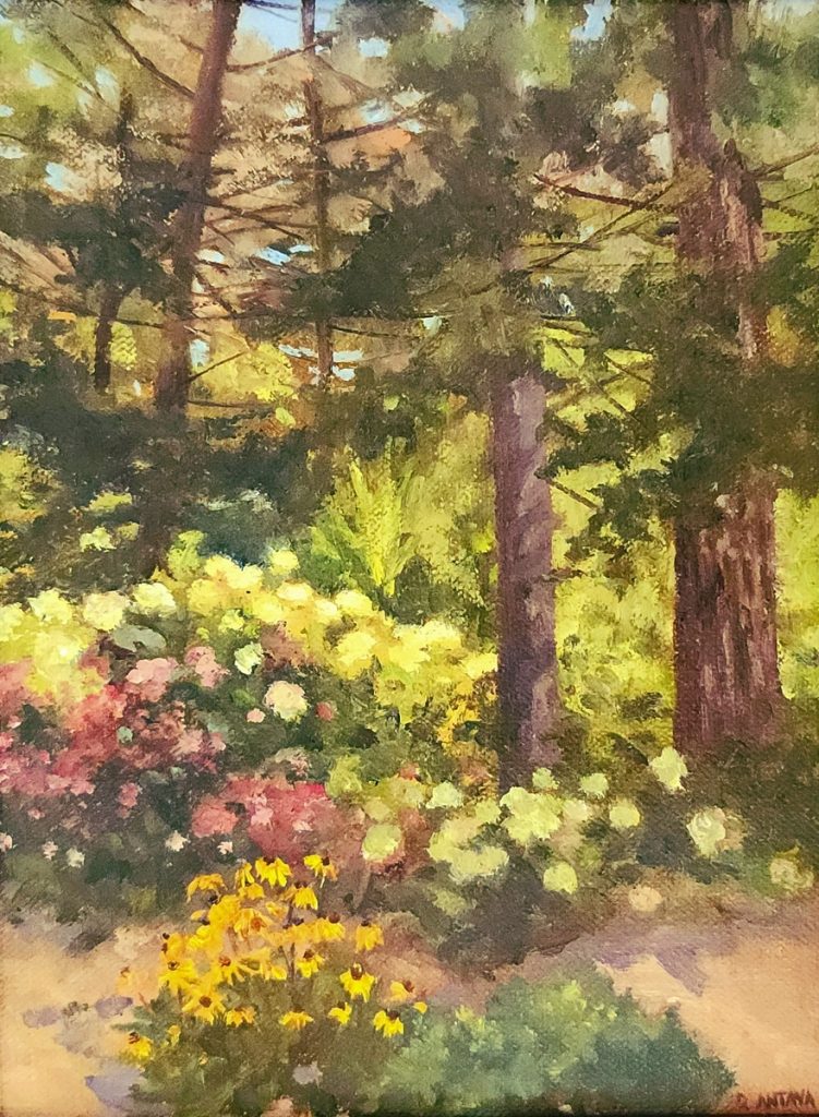 Light Through the Trees (Plein Air)