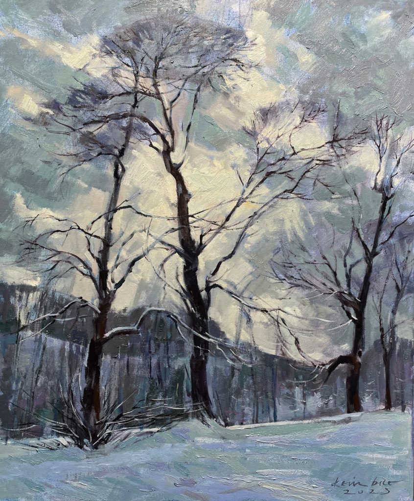 Gibbons Park, Early Winter