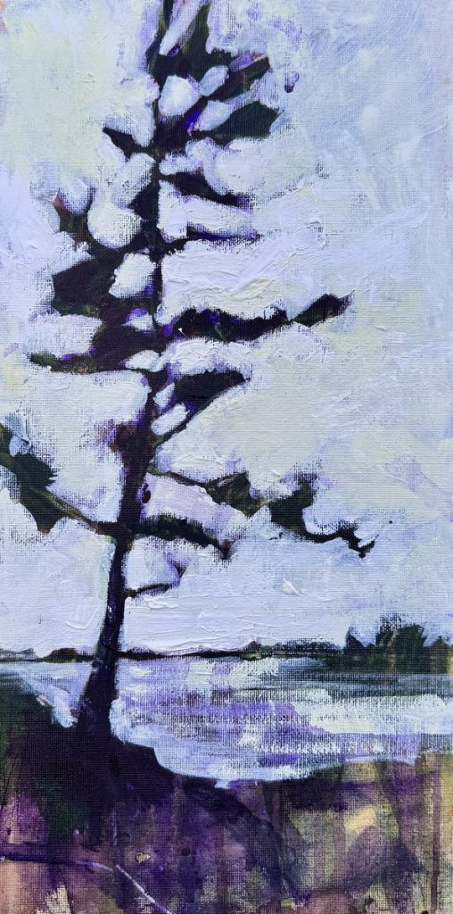 French River White Pine