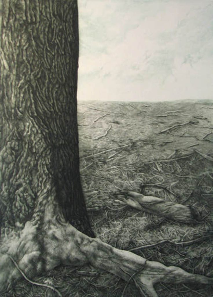 Woodlot V, 24/100