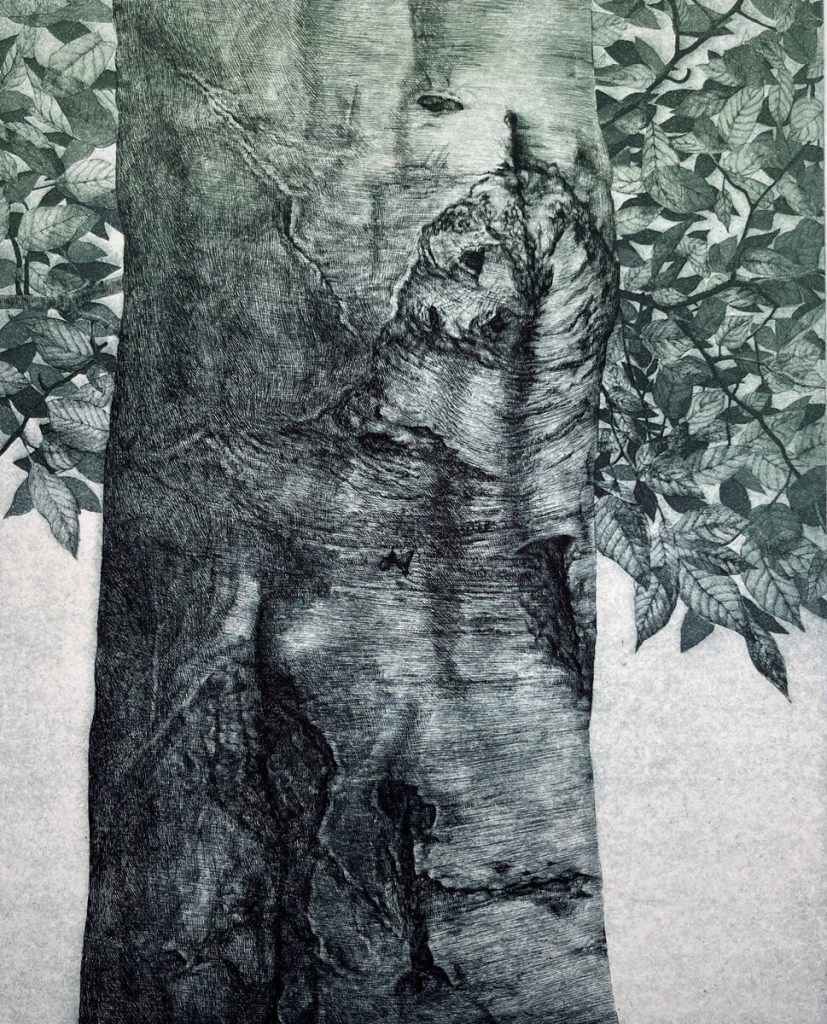 Woodlot VIII, 10/75