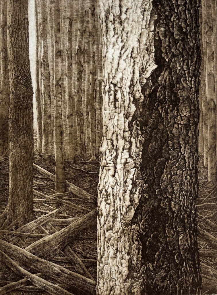 Woodlot VII, 11/75