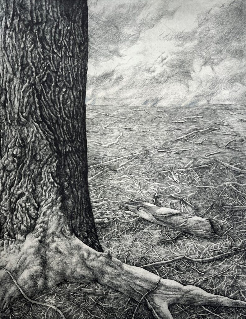 Woodlot V, T/P