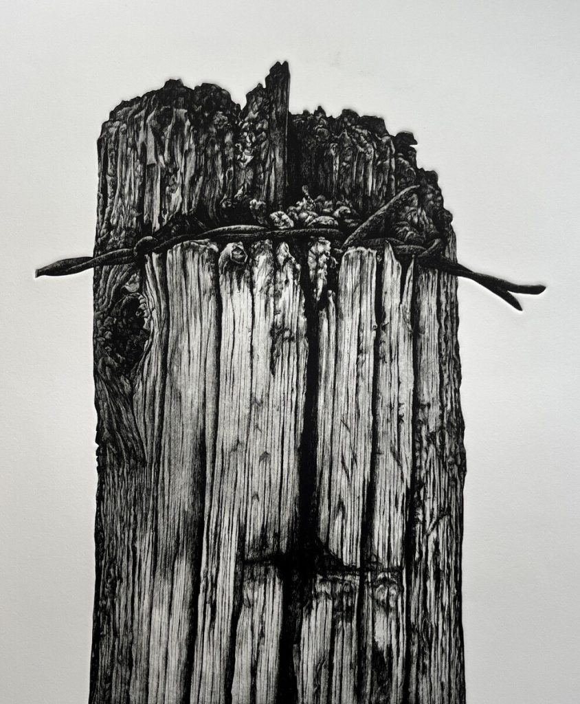 Old Fence Post, 8/100