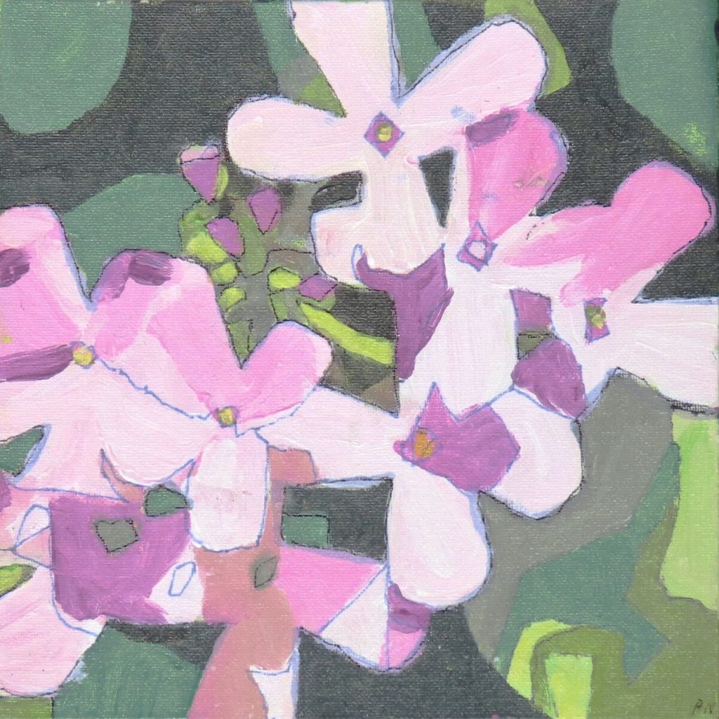 The Dame's Pink Whisper