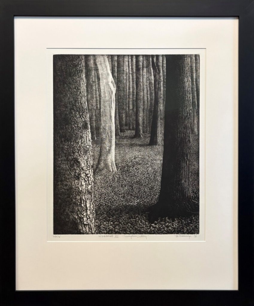 Woodlot XII Winged Victory, 43/75