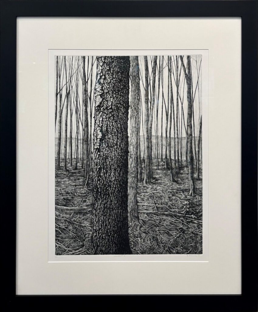 Woodlot III, 1/100