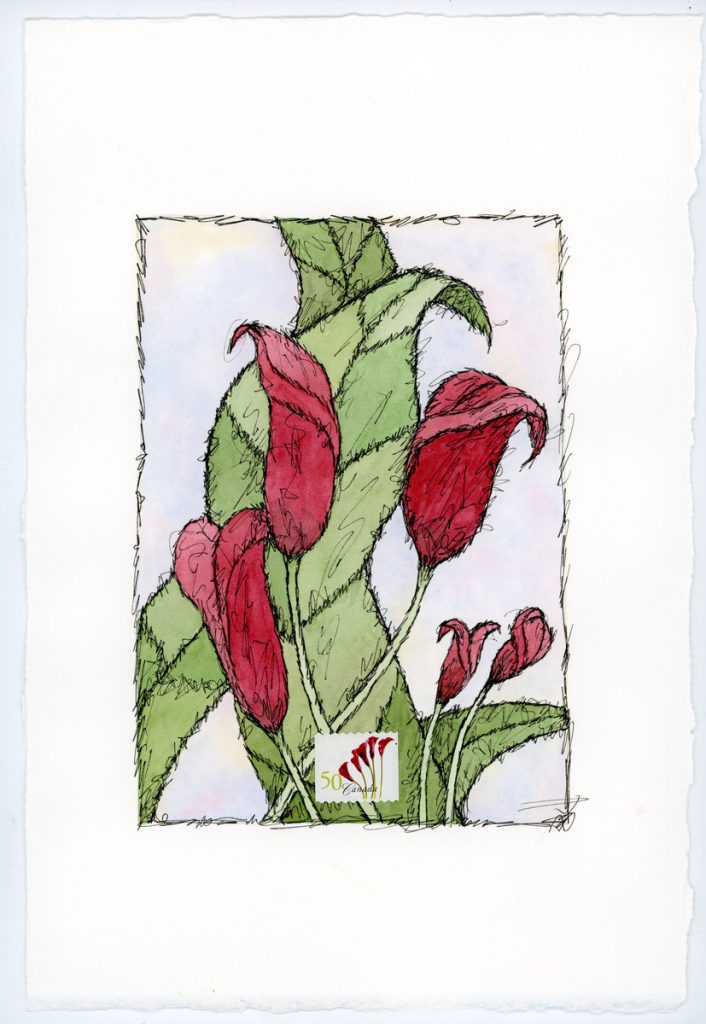Five Red Callas