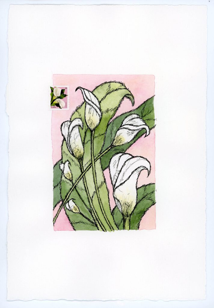 Six Callas on Pink