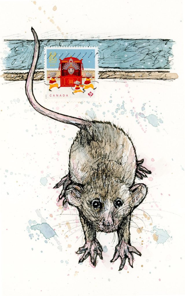 Rats: Cuddly and Playful