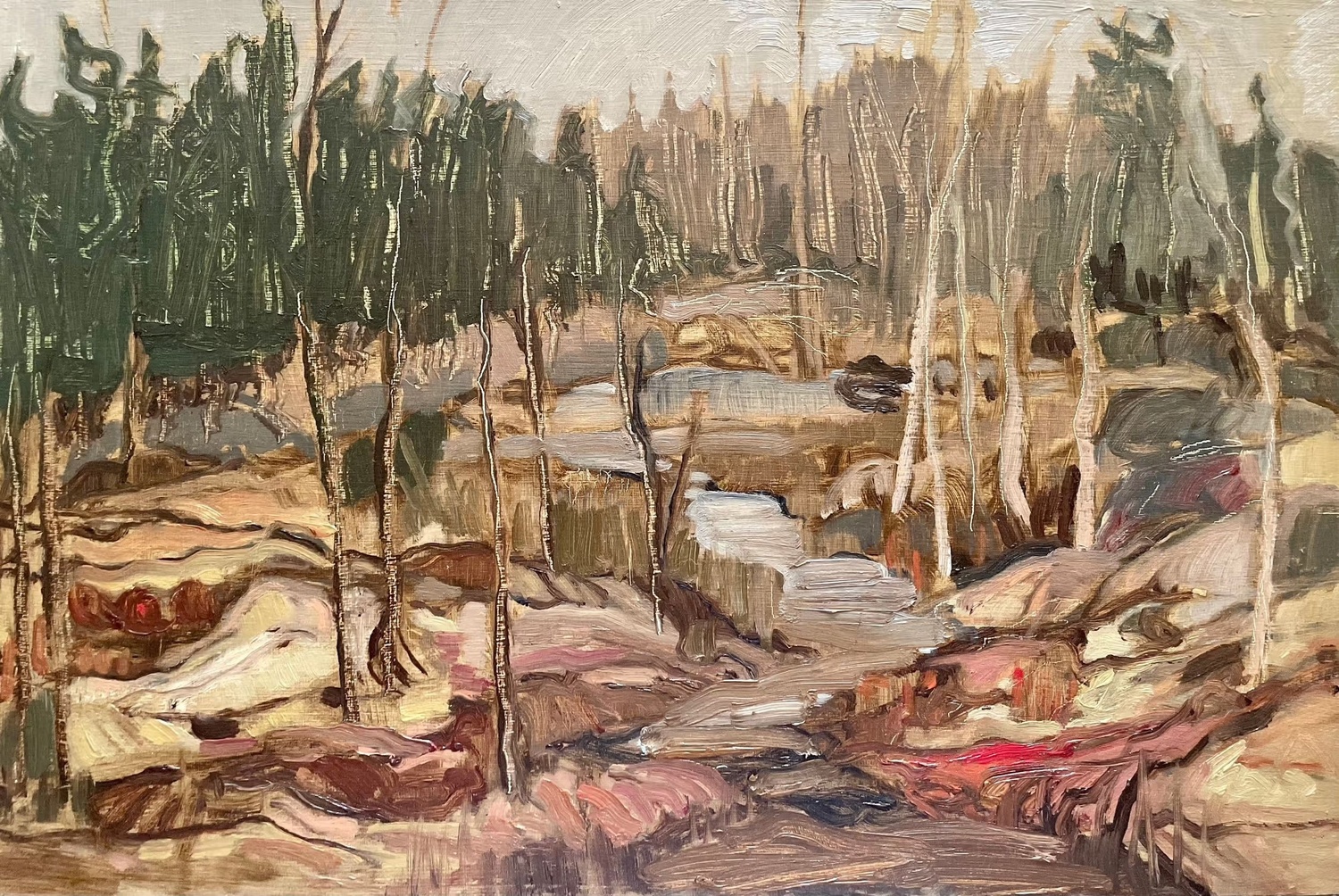 Wetlands, Hwy 41