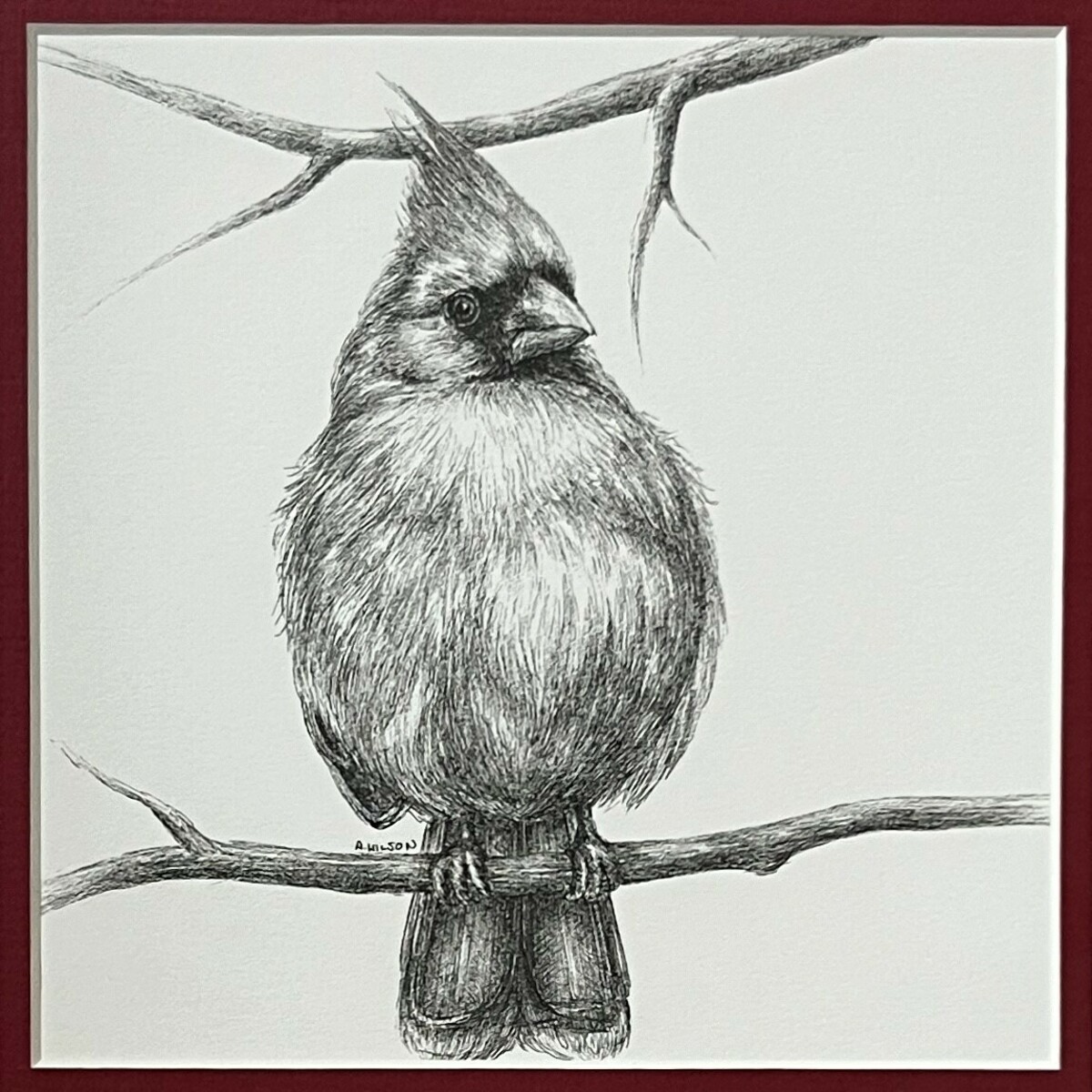 Cardinal I