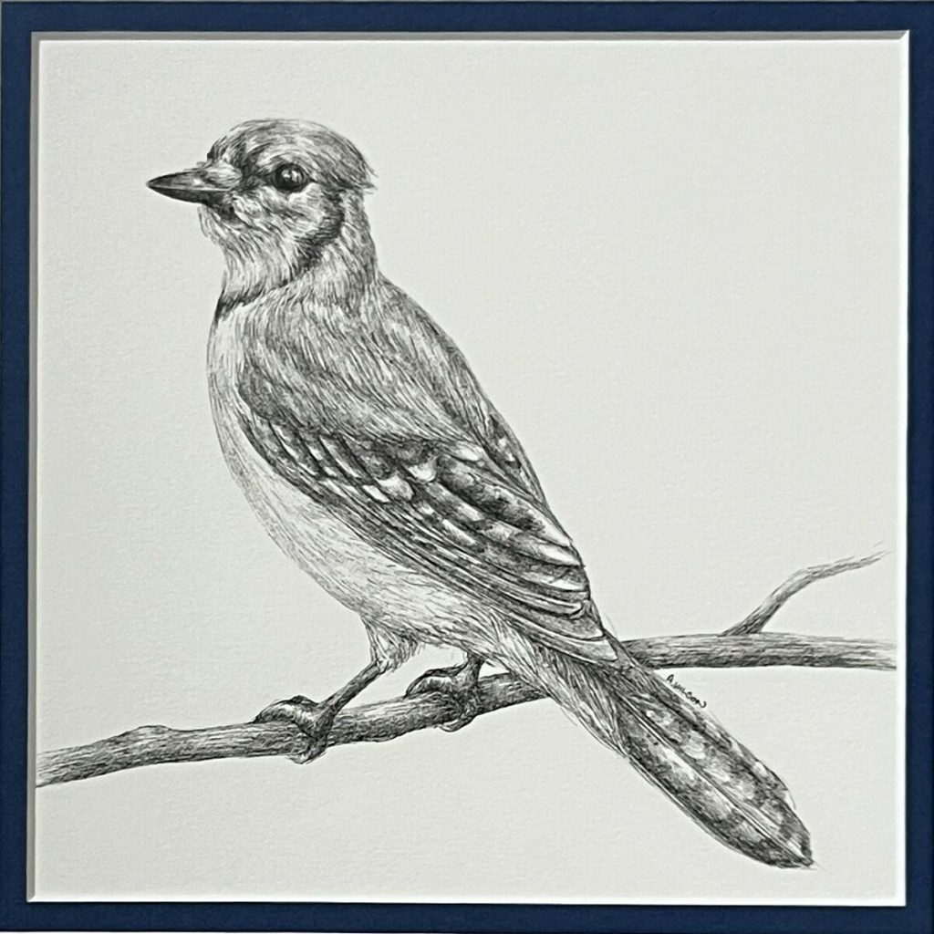 Blue Jay II