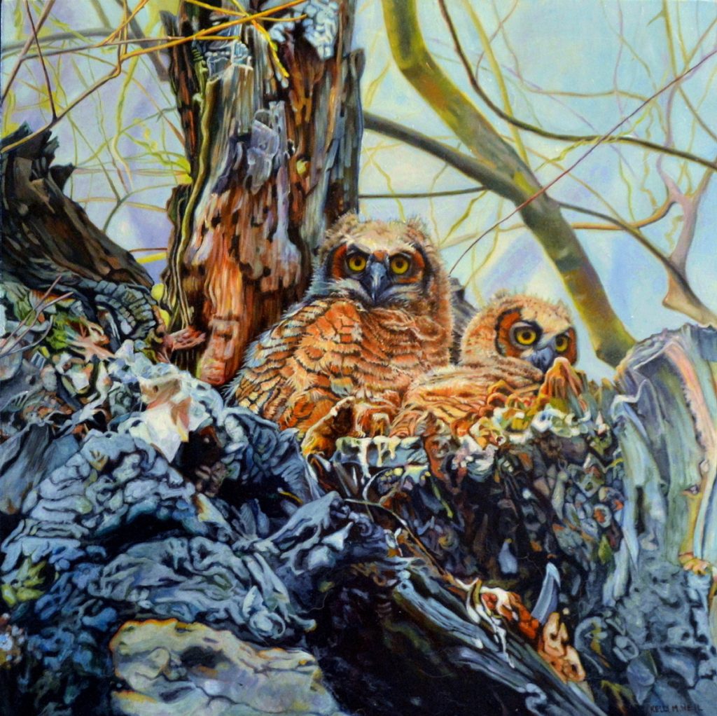 The Owls of Gibbons Parck