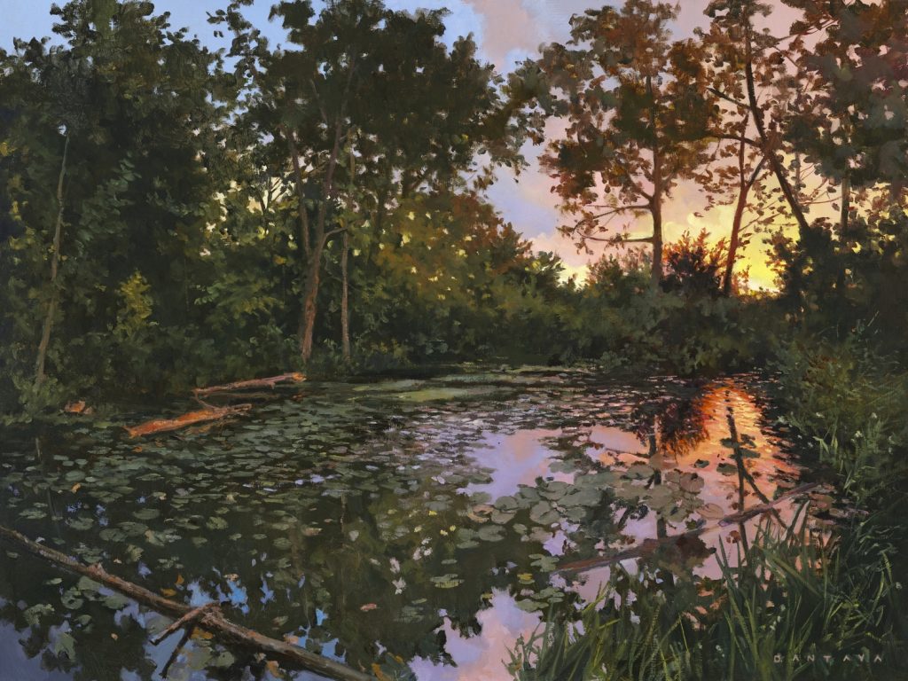 Turtle Pond
